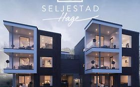 Veien til Senja